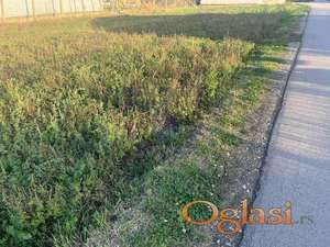 Odličan plac za porodičnu kuću